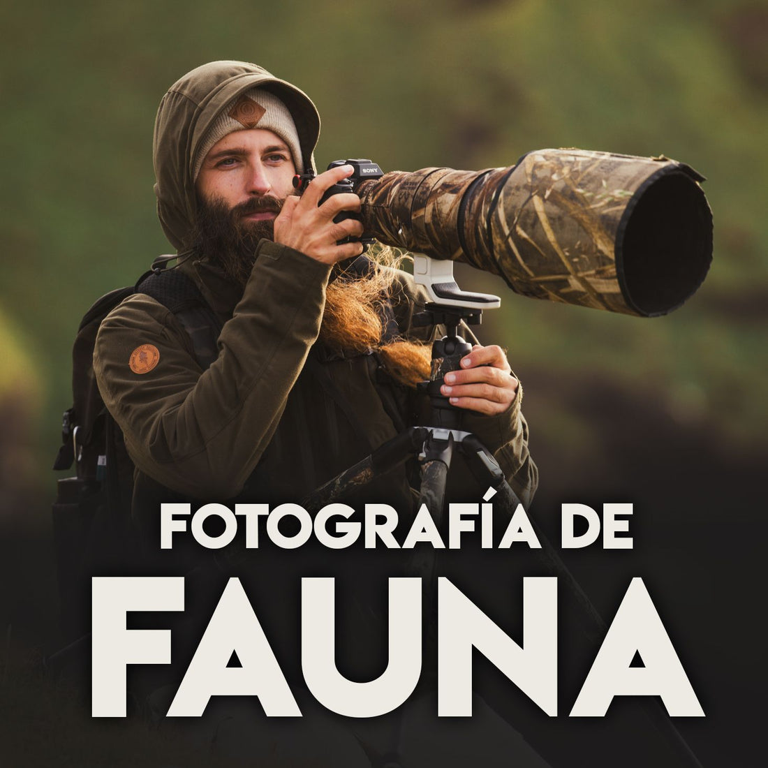Curso: Fotografía de FAUNA