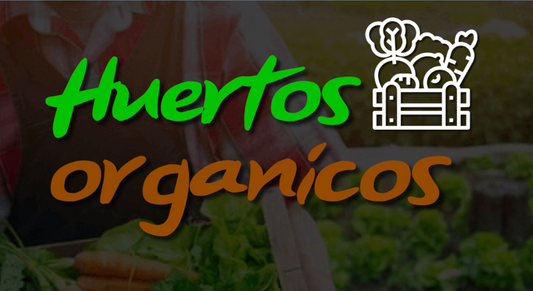 Curso: Huertos orgánicos Premium