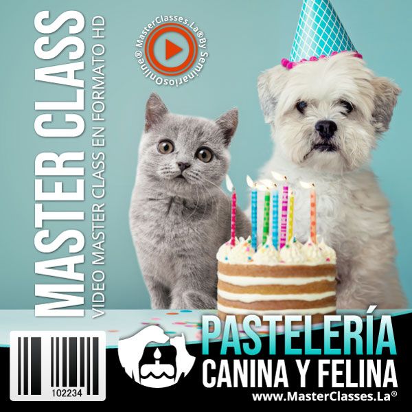 Curso: Pastelería canina y felina