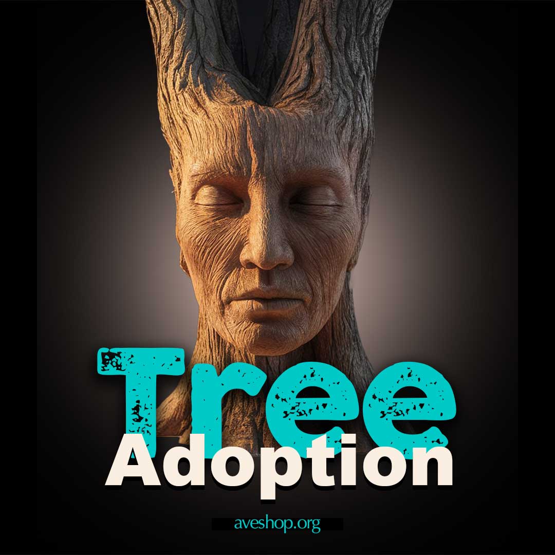 Adopt a Tree